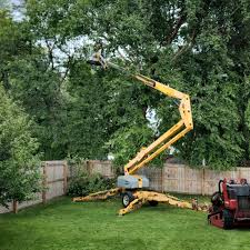 Best Lawn Irrigation Installation and Maintenance  in Westphalia, MD