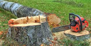 Best Lot and Land Clearing  in Westphalia, MD