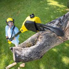 Best Lawn Maintenance Plans  in Westphalia, MD