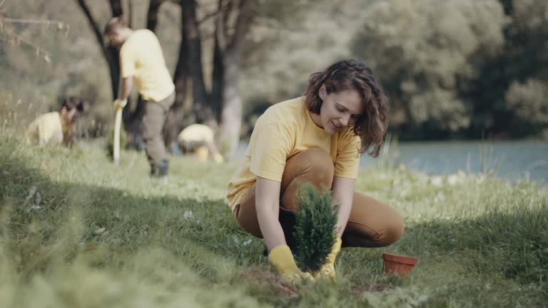 Best Lawn Drainage Solutions  in Westphalia, MD