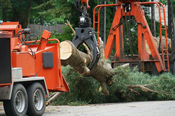 Best Lawn Irrigation Installation and Maintenance  in Westphalia, MD